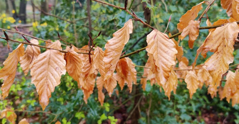 Waarom slimme, ambitieuze mensen vastlopen op hun werk